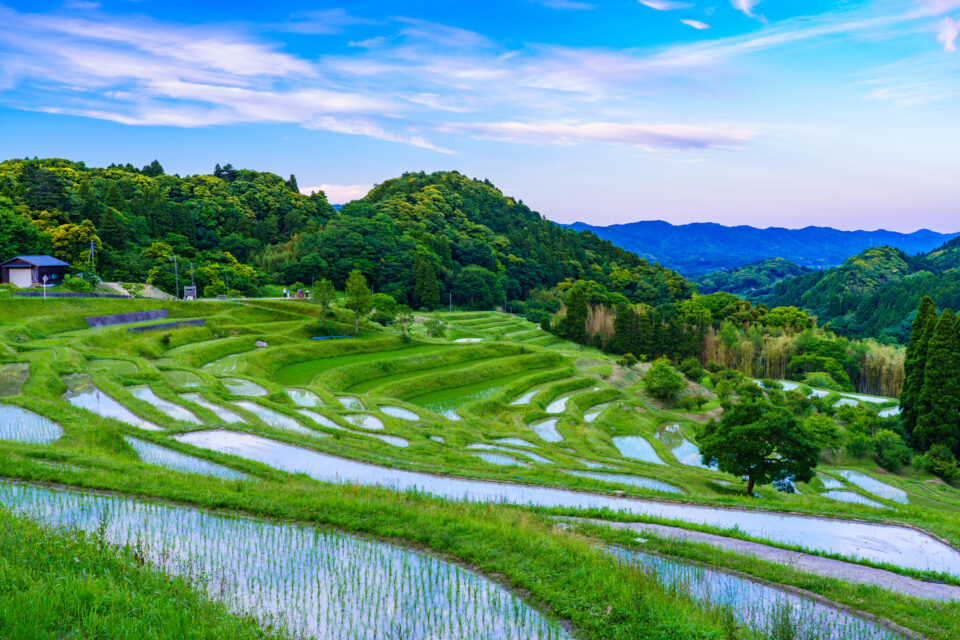 大山千枚田