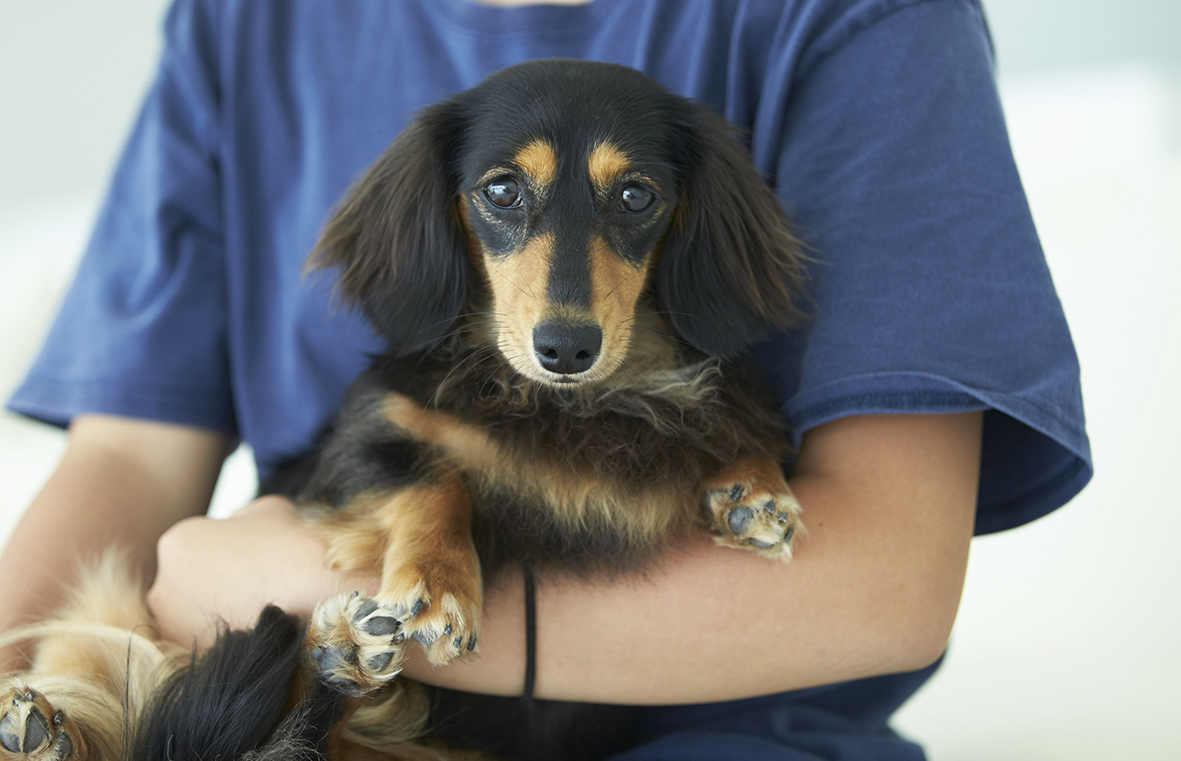 愛犬と宿泊が可能