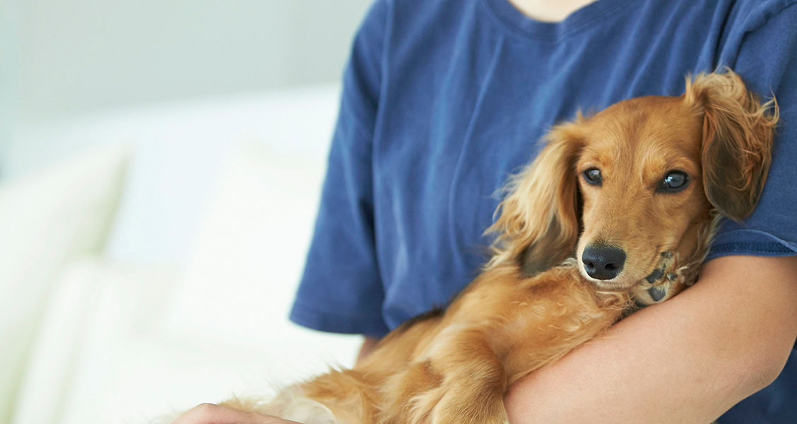 愛犬と宿泊が可能
